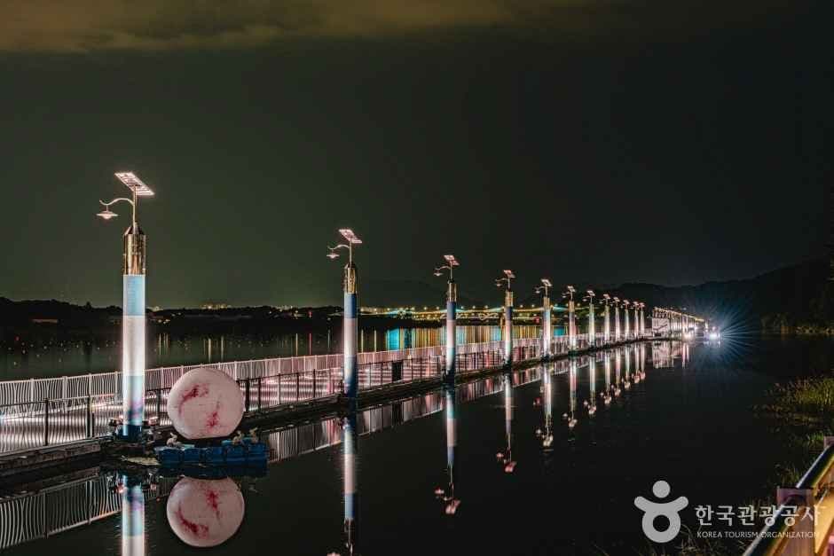 충주 탄금호 무지개길 사진 1