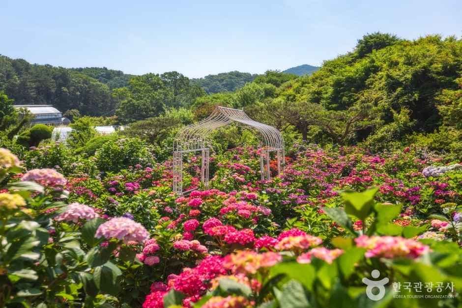 율봄식물원 사진 5