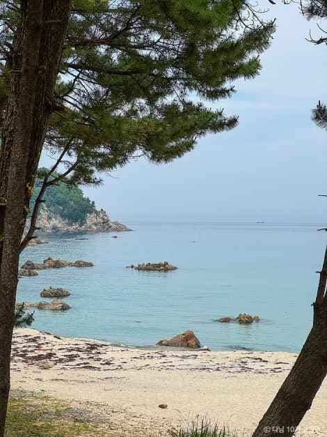 삼척 해양레일바이크 사진 1