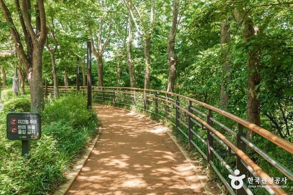 용마폭포공원 사진 6