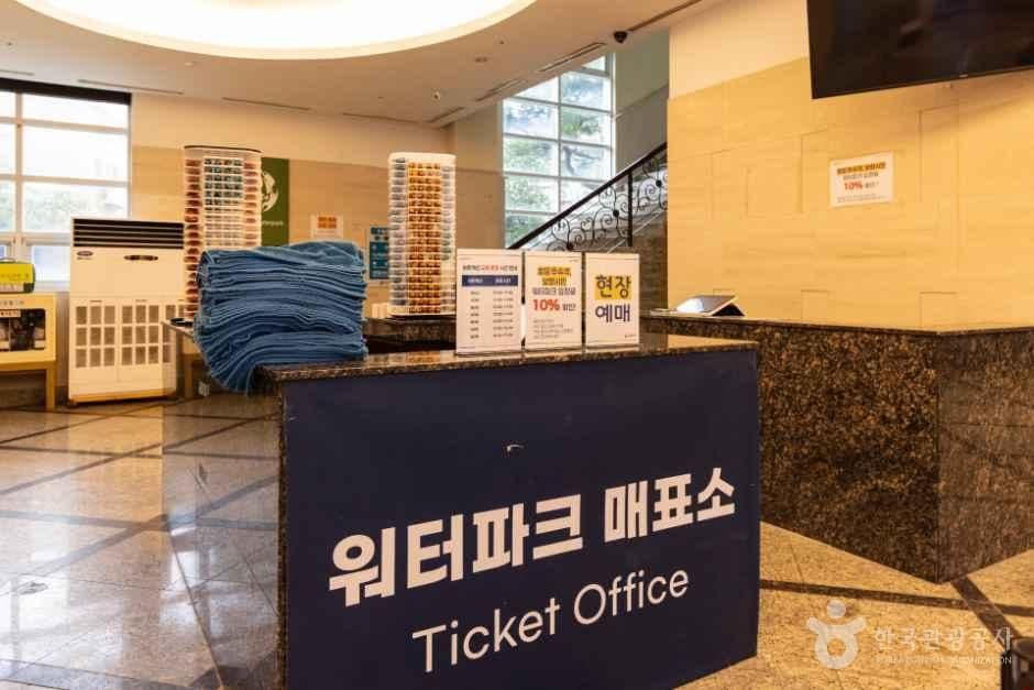호텔마스타대천 워터파크 사진 6
