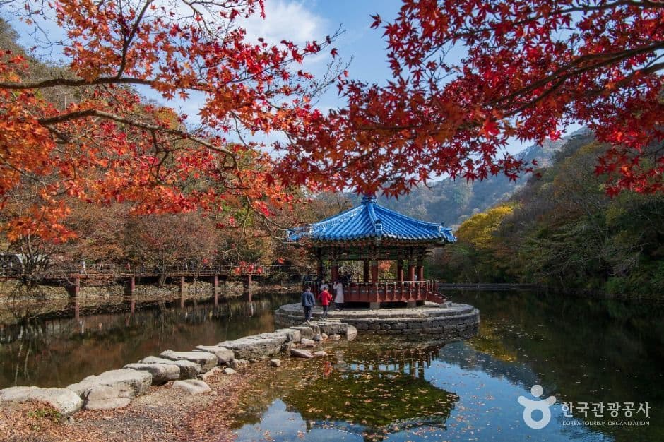 내장산국립공원 사진 3