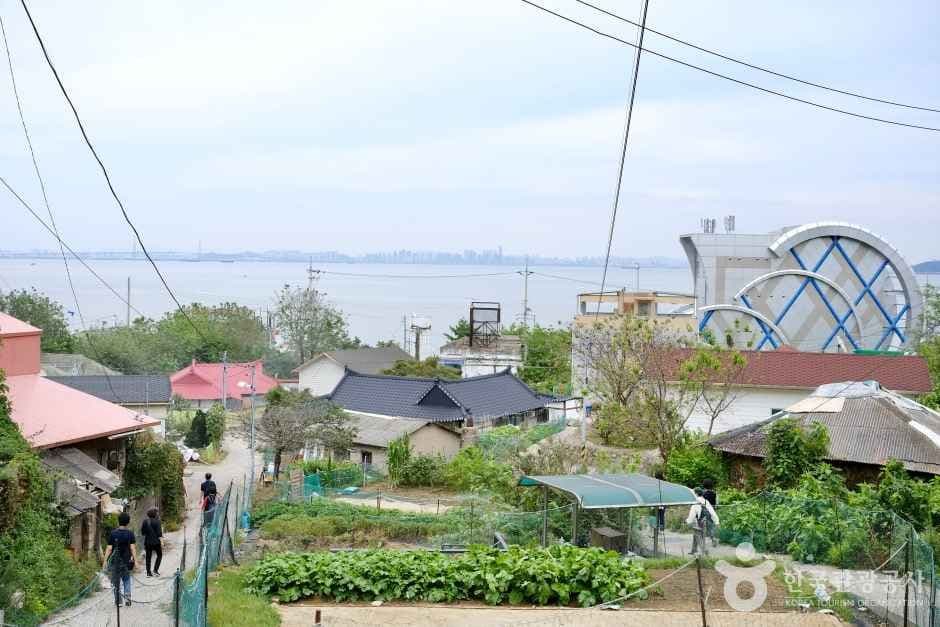 무의도 사진 4