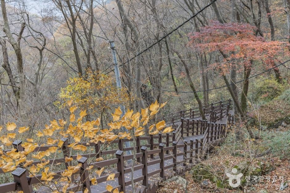 추월산 사진 3