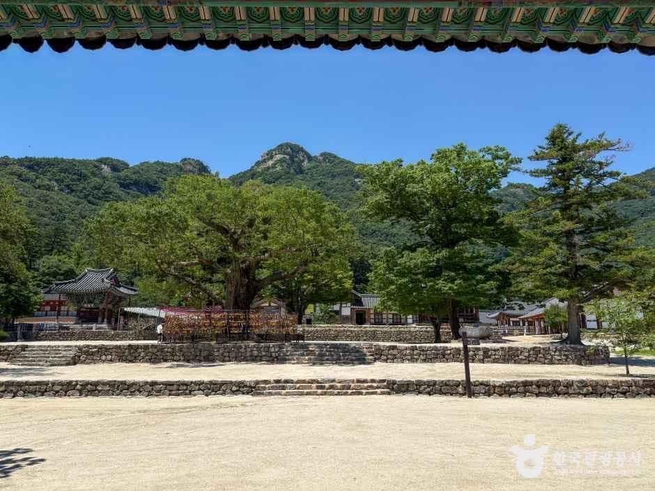 내소사(부안) 사진 4