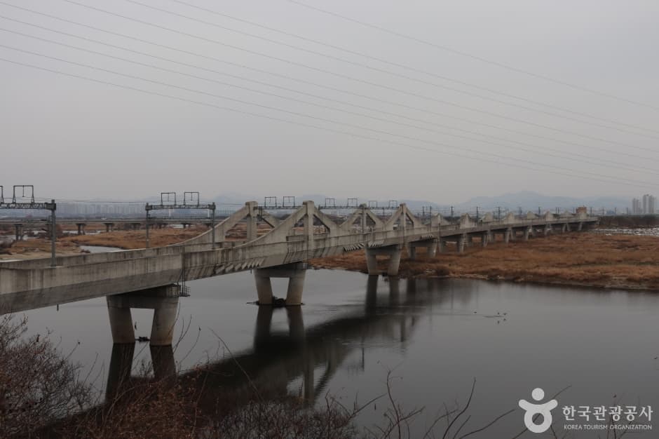 비비정예술열차