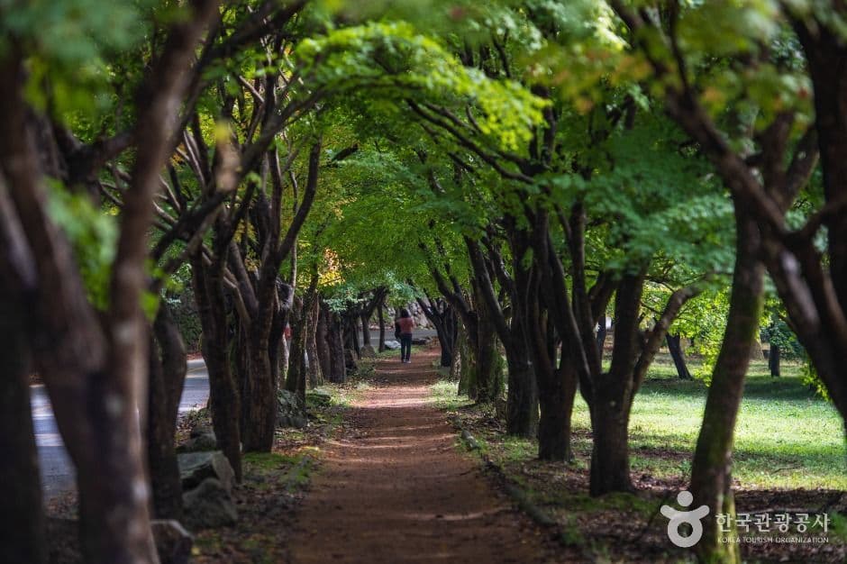 내장산국립공원 사진 4