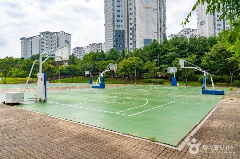 도원체육공원 사진 5