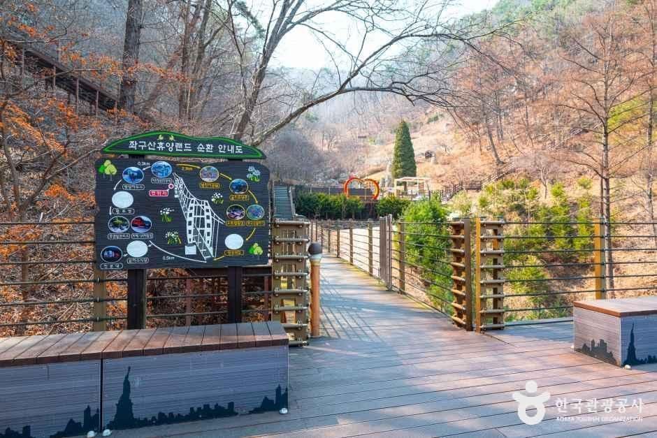 좌구산 자연휴양림 사진 1