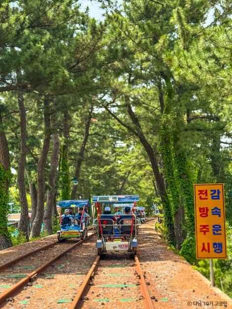 삼척 해양레일바이크 사진 3