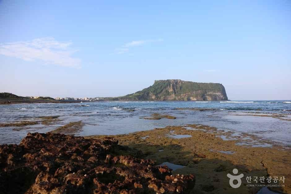 광치기해변 사진 1