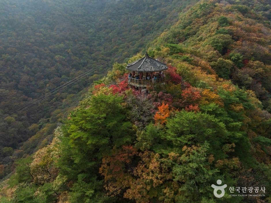 내장산국립공원 사진 5