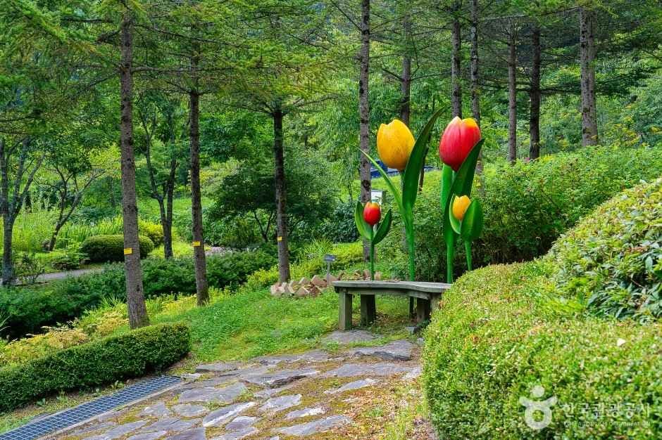 백두대간 생태수목원 사진 3