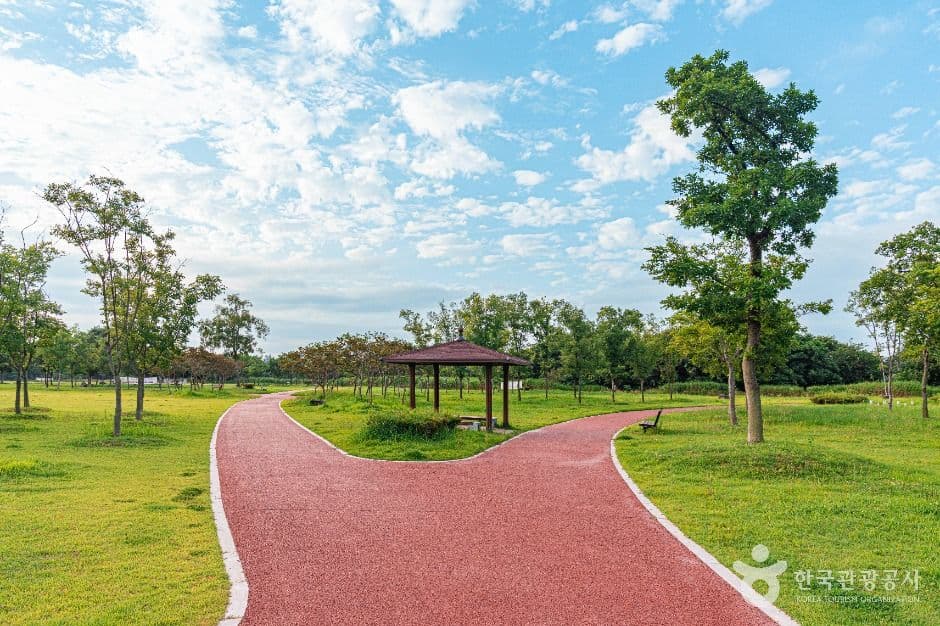황룡친수공원 사진 4