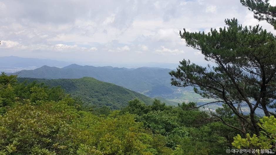 최정산