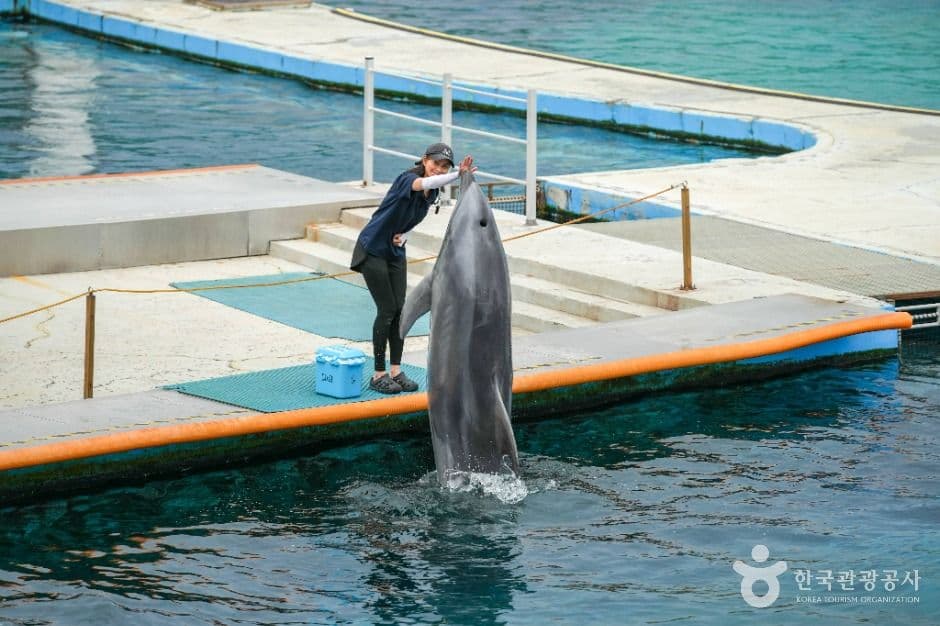 거제씨월드 사진 3