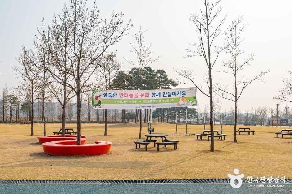 수성패밀리파크 사진 2