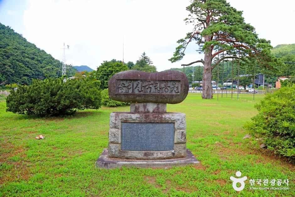 보은 속리 정이품송 사진 6