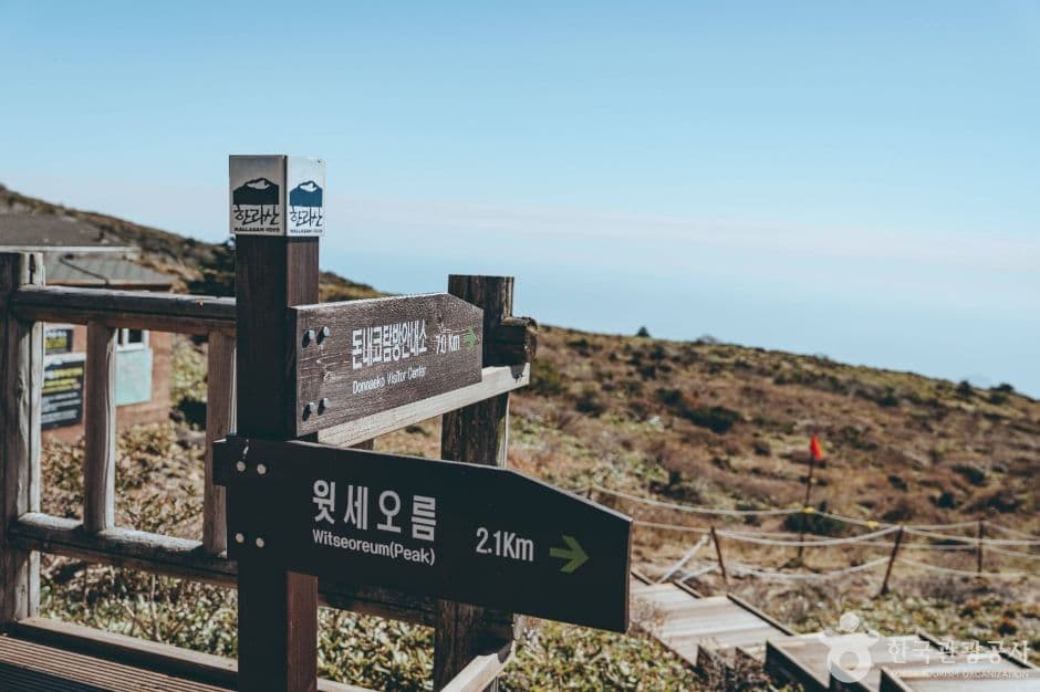 한라산 사진 6
