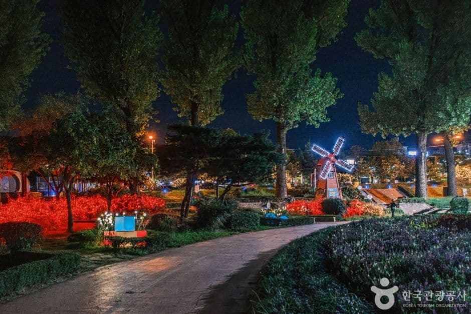 보강천미루나무숲 사진 1