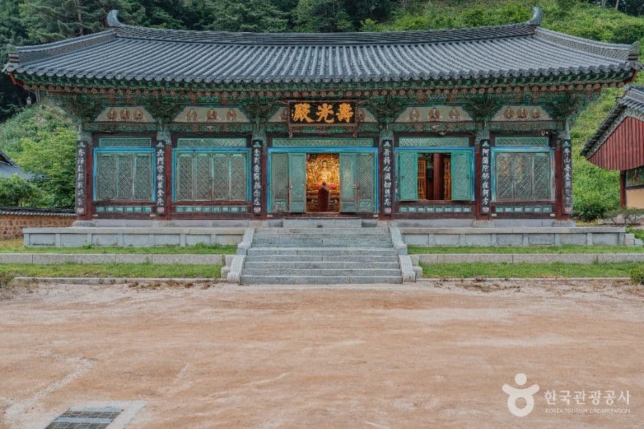 월정사·월정사 전나무숲 사진 1