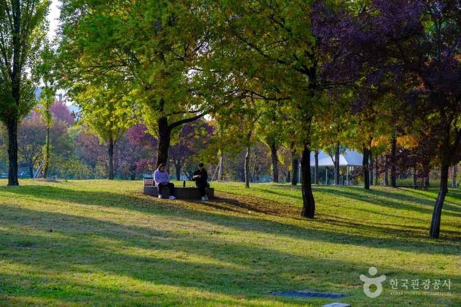 양화한강공원 사진 4