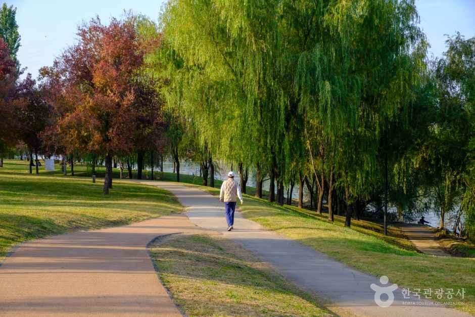 양화한강공원 사진 5