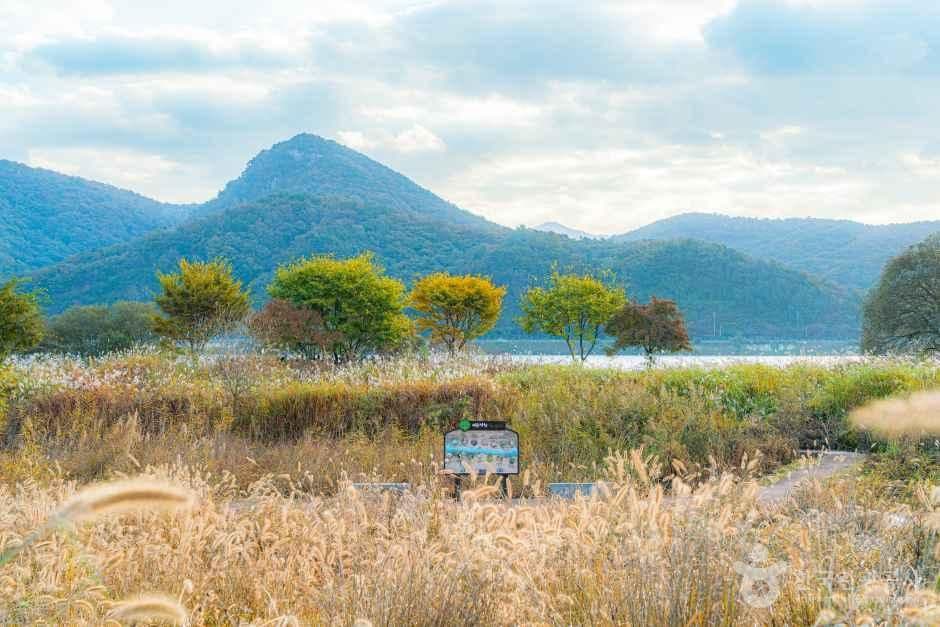 마음정원 사진 2