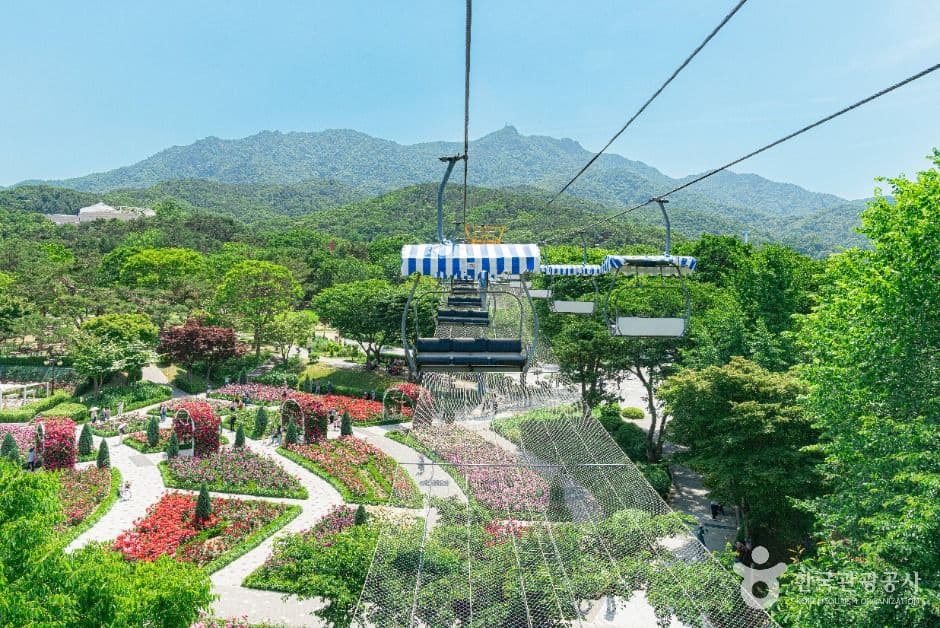 서울대공원 사진 5
