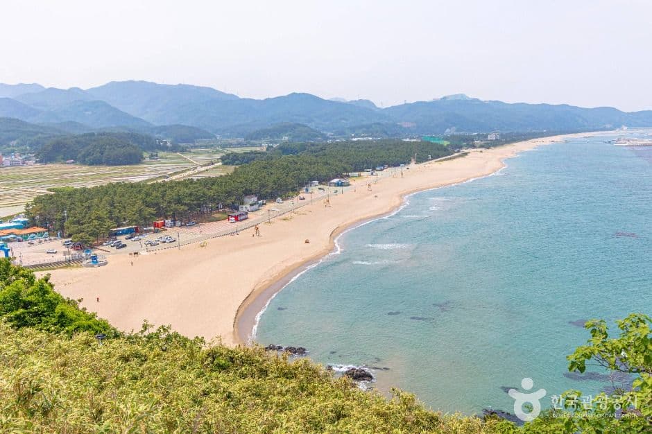 덕봉산 해안생태탐방로 사진 3