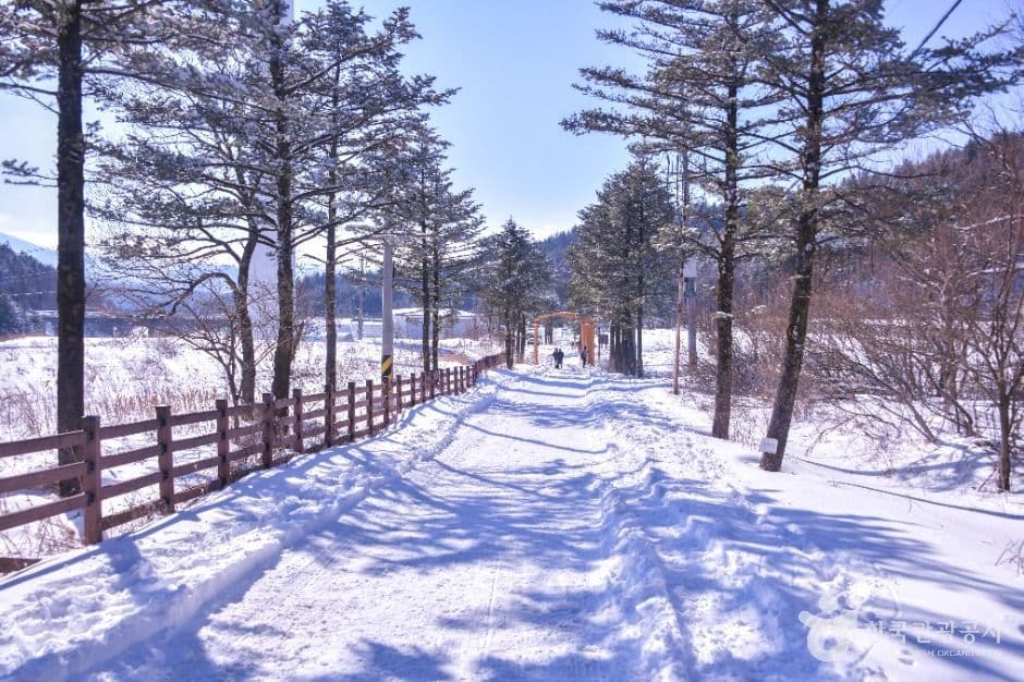 선자령 사진 2