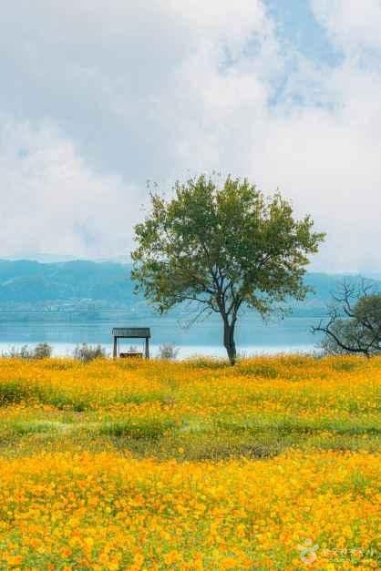 물의 정원 사진 6