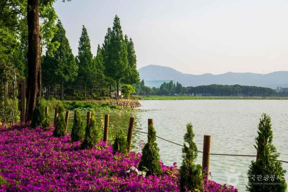 신정호관광지 사진 2