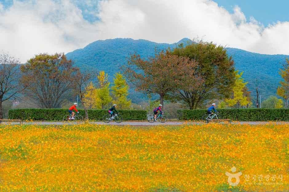 물의 정원 사진 3