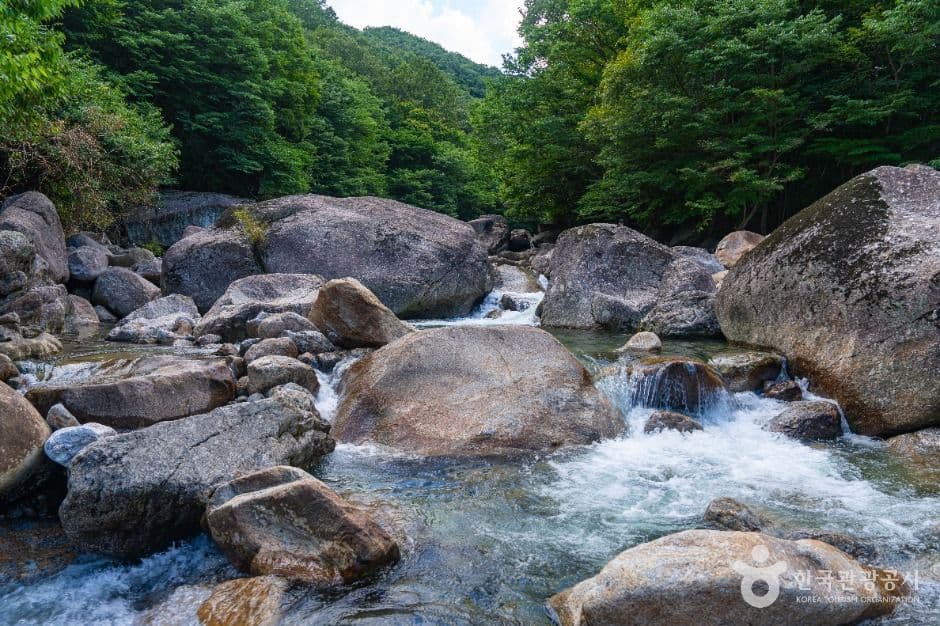 피아골계곡 사진 1
