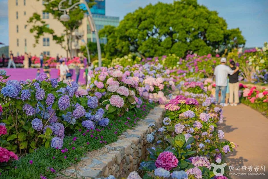 장생포 고래문화마을 사진 2