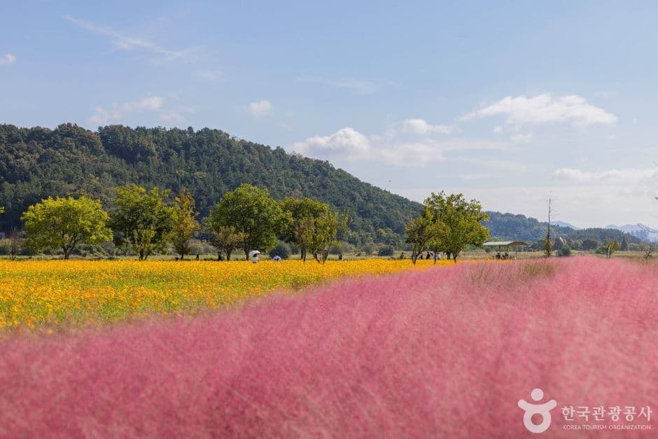 호국의병의숲친수공원 사진 3