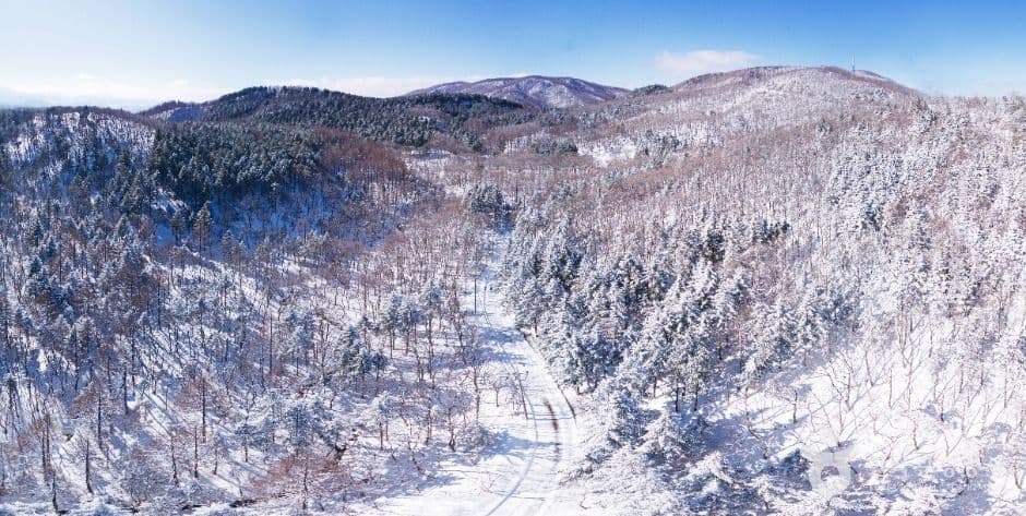 선자령 사진 6