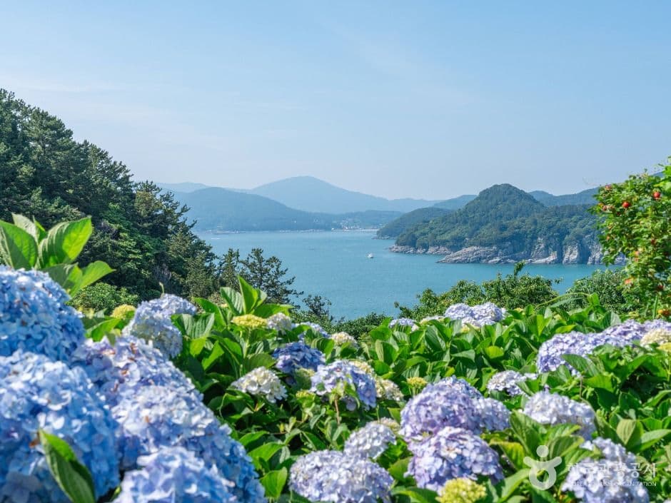 외도 보타니아 사진 1