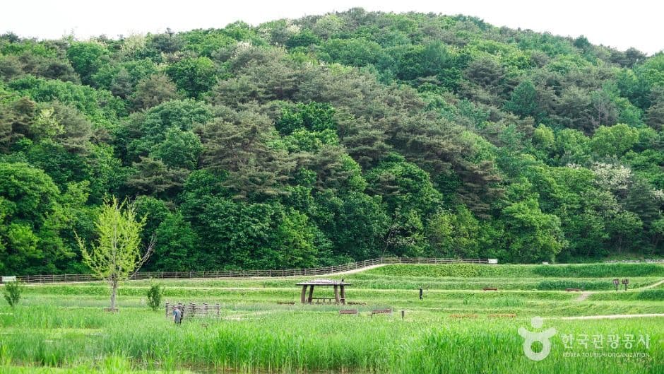 청주 상당산성 사진 2