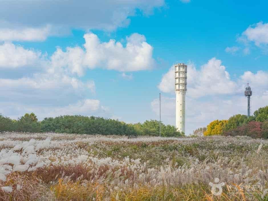 하늘공원 사진 1