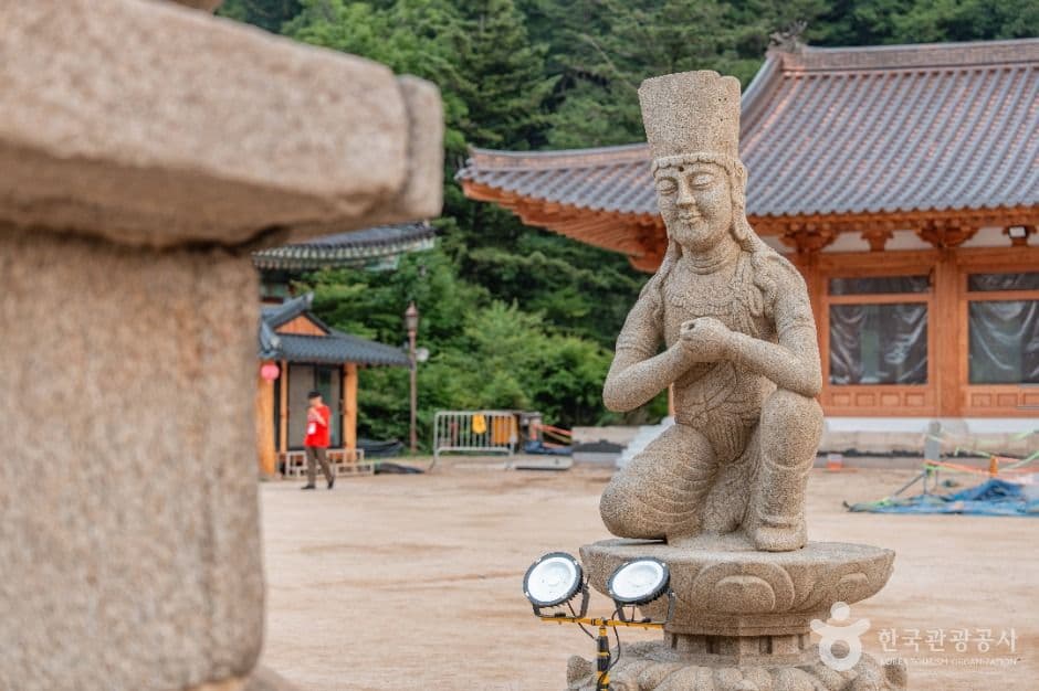 월정사·월정사 전나무숲 사진 4