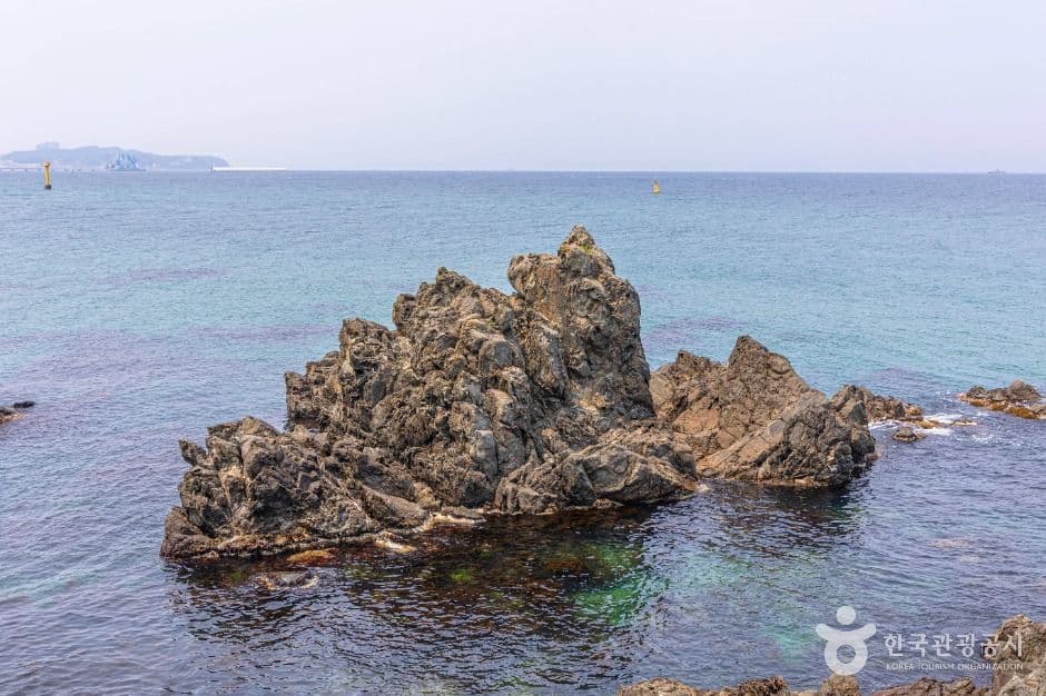 덕봉산 해안생태탐방로 사진 5