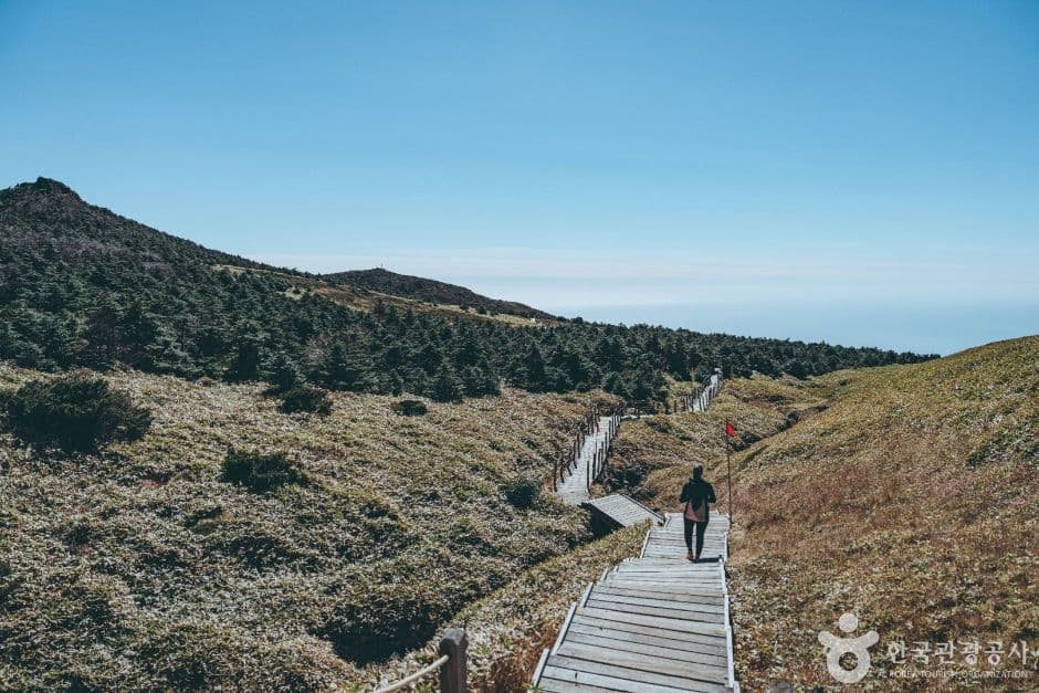 한라산 사진 7