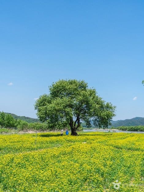 핫들생태공원 사진 5