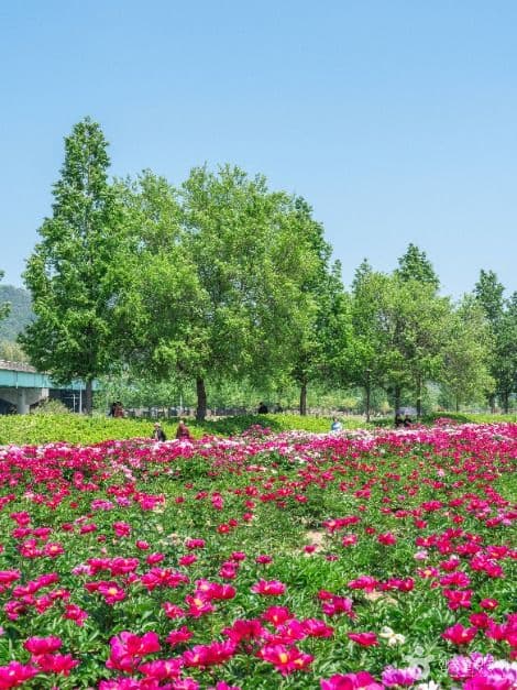 핫들생태공원 사진 3