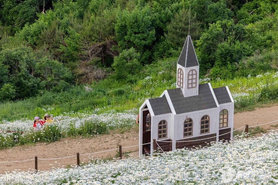 평창 육백마지기 사진 1
