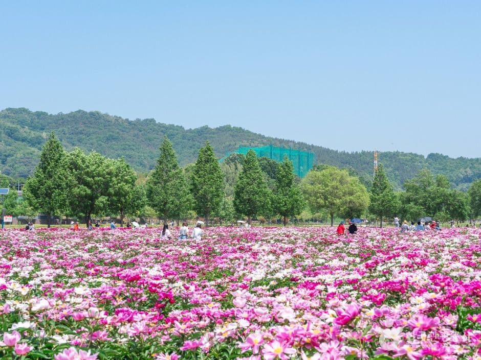 핫들생태공원 사진 2