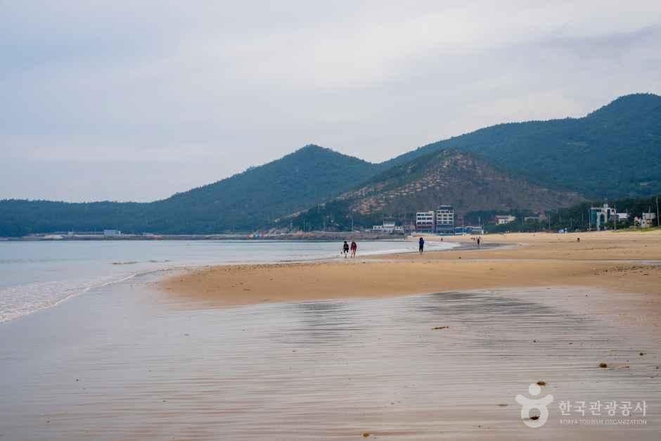 신지명사십리해수욕장 사진 7