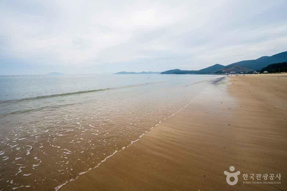 신지명사십리해수욕장 사진 8